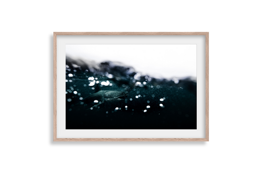 Great White Shark - Print 04