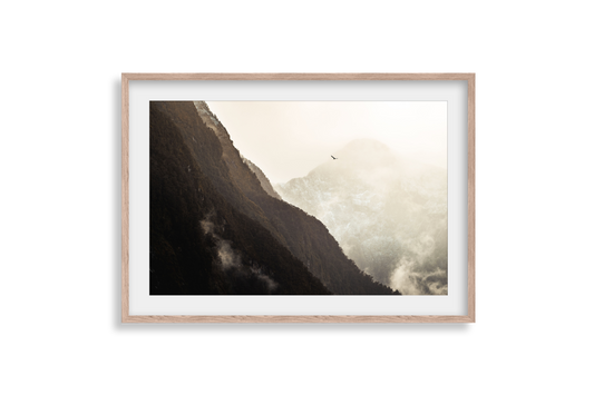 Topside - Print 02