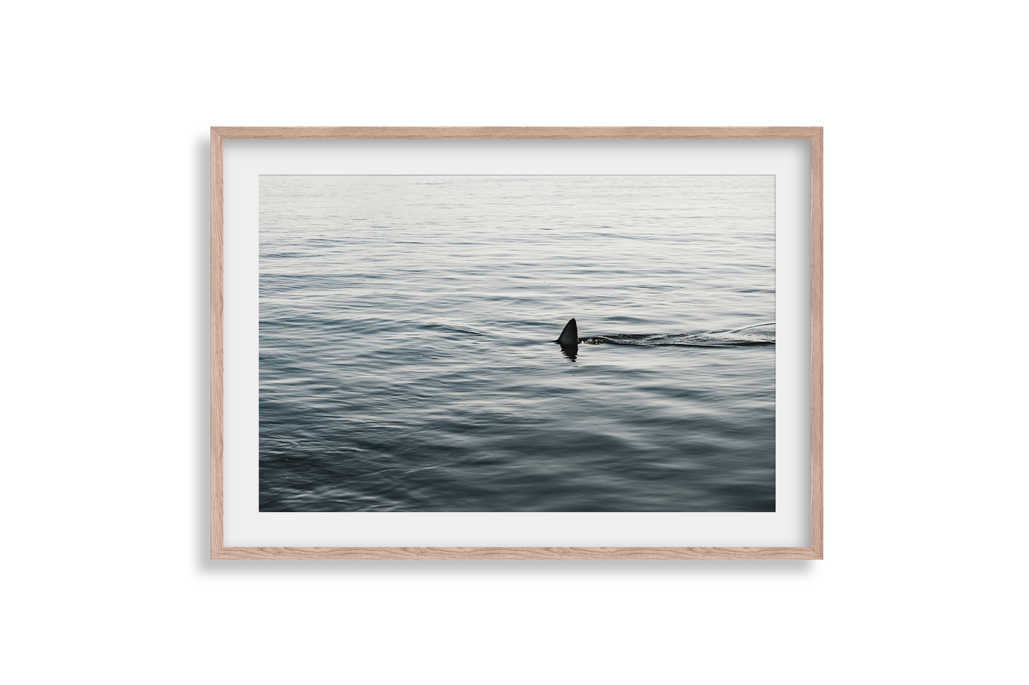 Topside - Print 03