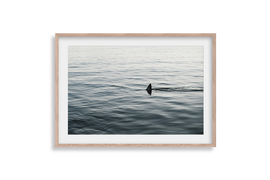 Topside - Print 03
