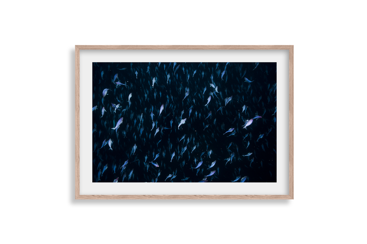 Underwater Collection - Print 01